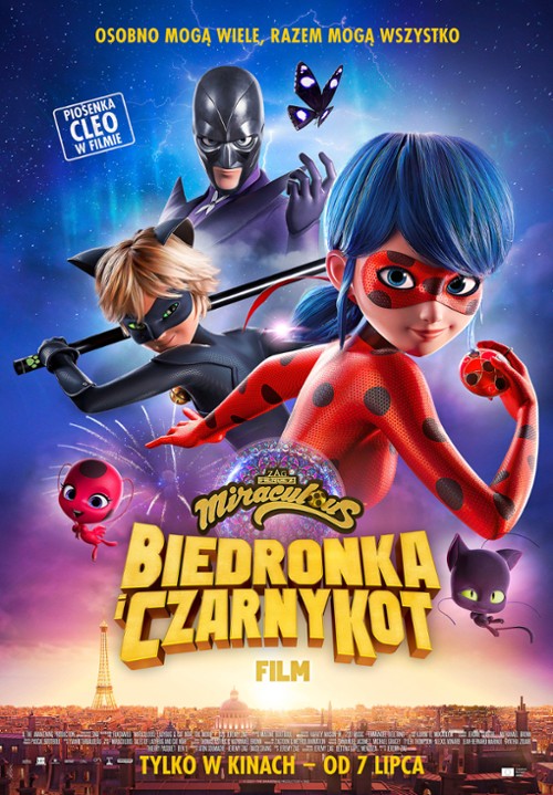 biedronka_i_czarny_kot