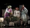 66