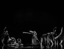 img 4966
