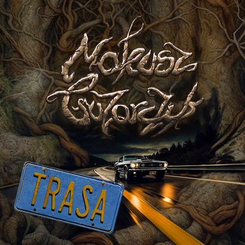 trasa-b-iext142354444.jpg